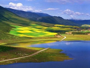Qinghai-Lake-lacs de chine