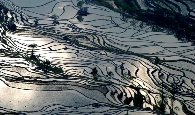 Terrasses de riz des Hani de Honghe